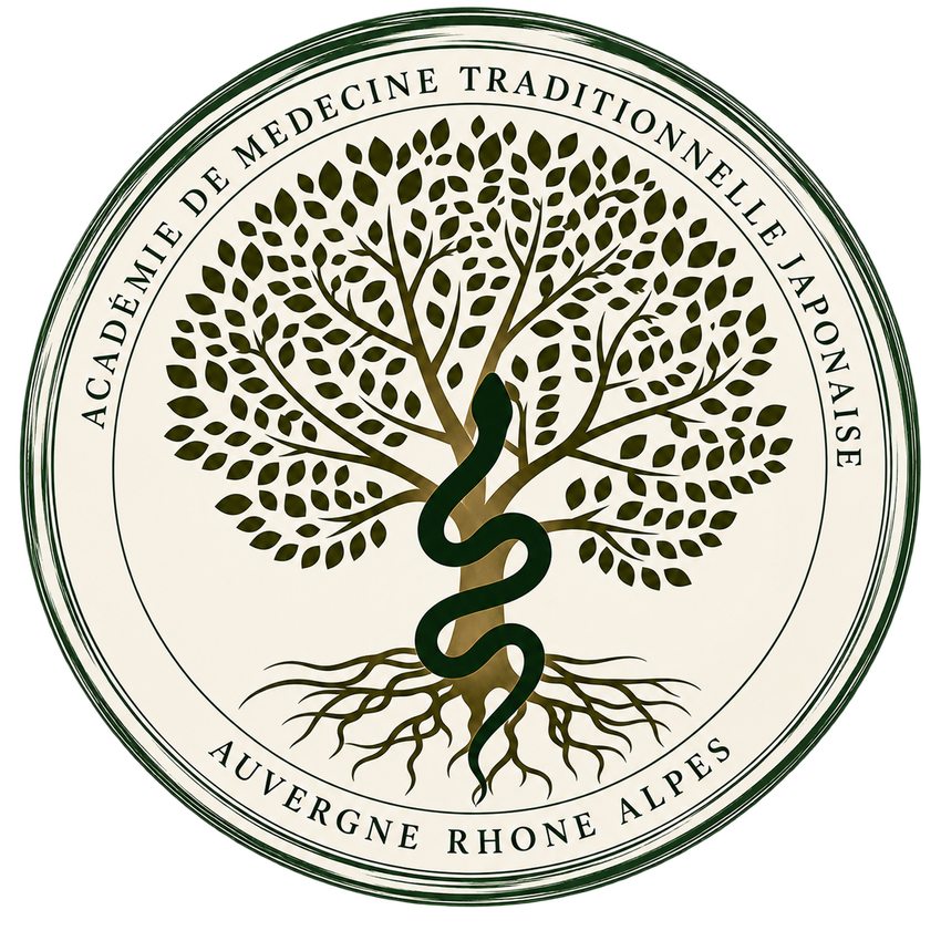 Logo de l'Académie MTJ AURA